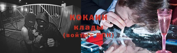 шишки Горняк