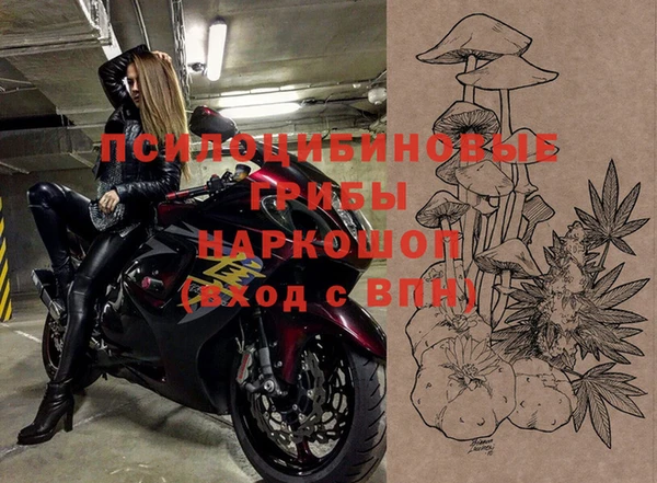 ALPHA PVP Магадан